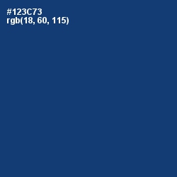 #123C73 - Regal Blue Color Image