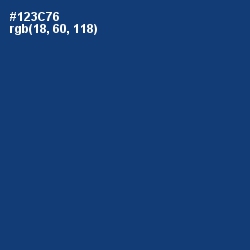 #123C76 - Regal Blue Color Image