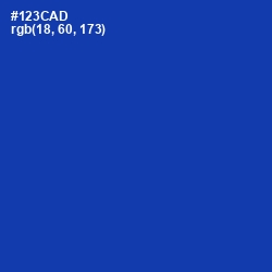 #123CAD - Persian Blue Color Image
