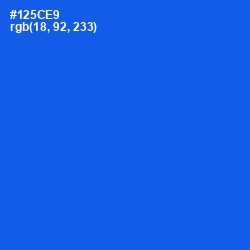 #125CE9 - Blue Ribbon Color Image