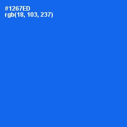 #1267ED - Blue Ribbon Color Image