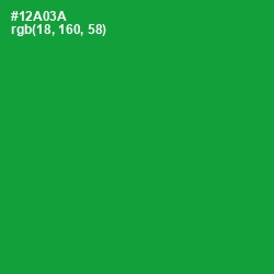 #12A03A - Forest Green Color Image