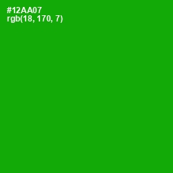 #12AA07 - Forest Green Color Image