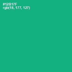 #12B17F - Jade Color Image