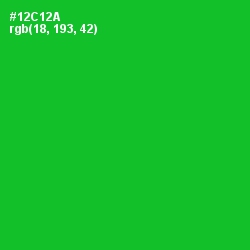 #12C12A - Green Color Image