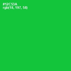 #12C53A - Green Color Image