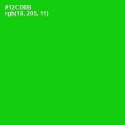 #12CD0B - Green Color Image