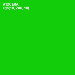 #12CE0A - Green Color Image