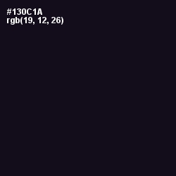 #130C1A - Cinder Color Image