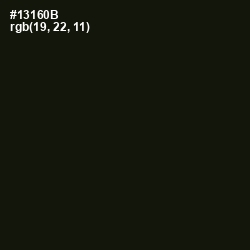 #13160B - Green Waterloo Color Image