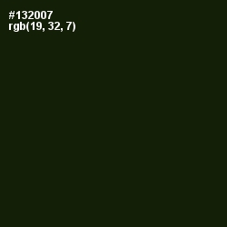 #132007 - Deep Forest Green Color Image