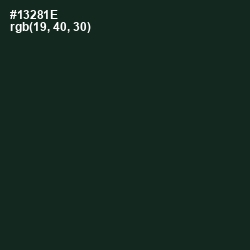 #13281E - Seaweed Color Image