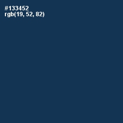 #133452 - Nile Blue Color Image