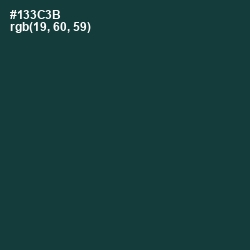 #133C3B - Gable Green Color Image