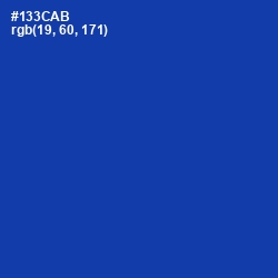 #133CAB - Persian Blue Color Image