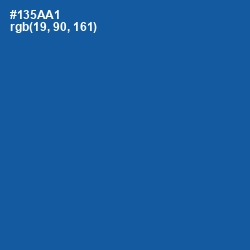 #135AA1 - Fun Blue Color Image