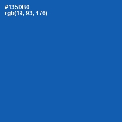 #135DB0 - Fun Blue Color Image