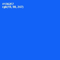 #1362F7 - Blue Ribbon Color Image