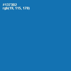 #1373B2 - Denim Color Image