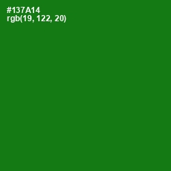 #137A14 - Japanese Laurel Color Image