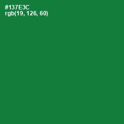 #137E3C - Fun Green Color Image
