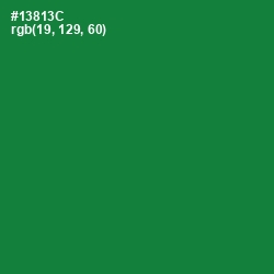 #13813C - Forest Green Color Image