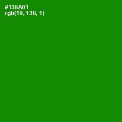 #138A01 - Forest Green Color Image