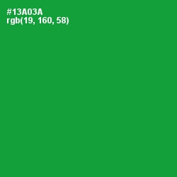 #13A03A - Forest Green Color Image