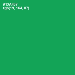 #13A457 - Green Haze Color Image