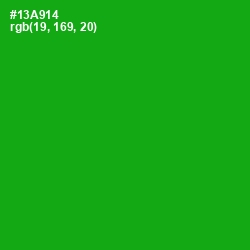 #13A914 - Forest Green Color Image