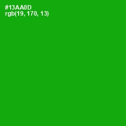 #13AA0D - Forest Green Color Image