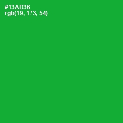 #13AD36 - Forest Green Color Image