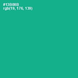 #13B08B - Mountain Meadow Color Image