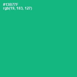 #13B77F - Jade Color Image