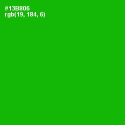 #13B806 - Forest Green Color Image