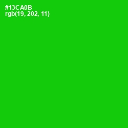 #13CA0B - Green Color Image