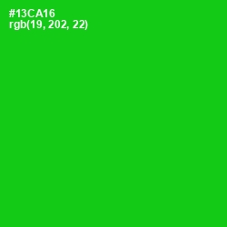 #13CA16 - Green Color Image