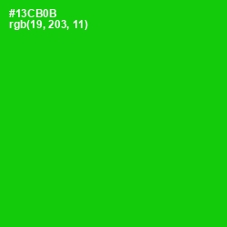 #13CB0B - Green Color Image