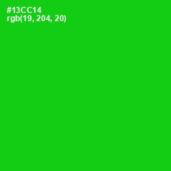 #13CC14 - Green Color Image