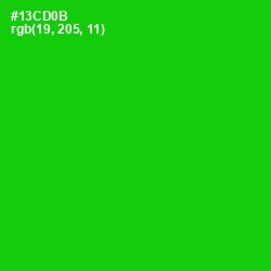 #13CD0B - Green Color Image