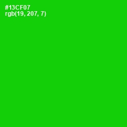 #13CF07 - Green Color Image