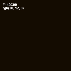 #140C00 - Asphalt Color Image
