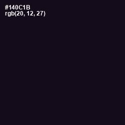 #140C1B - Cinder Color Image