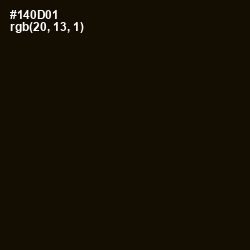 #140D01 - Asphalt Color Image