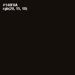 #140F0A - Asphalt Color Image