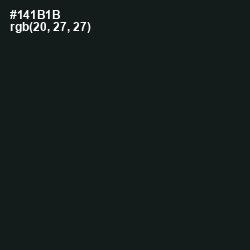 #141B1B - Vulcan Color Image