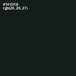 #141D1B - Hunter Green Color Image