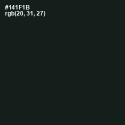 #141F1B - Hunter Green Color Image