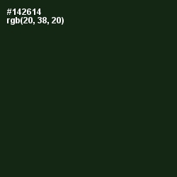 #142614 - Seaweed Color Image
