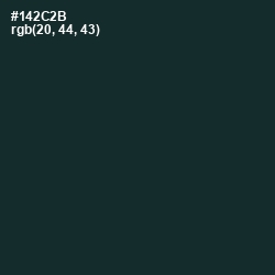 #142C2B - Timber Green Color Image